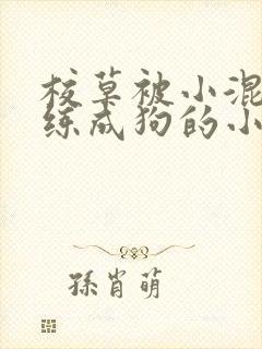 校草被小混混训练成狗的小说