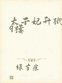 太子妃升职记19楼