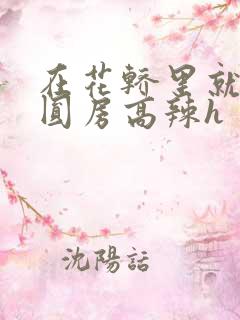 在花轿里就开始圆房高辣h