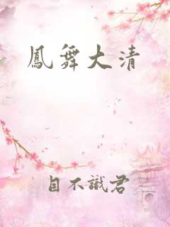 凤舞大清