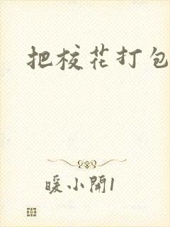 把校花打包带走