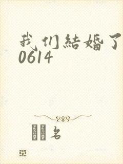 我们结婚了130614