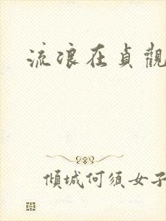 流浪在贞观年间