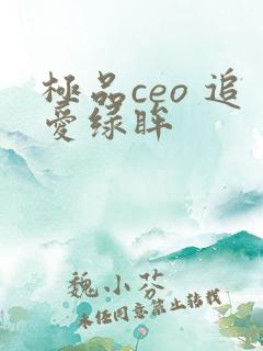 极品ceo 追爱绿眸