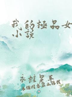 我的极品女老师小说