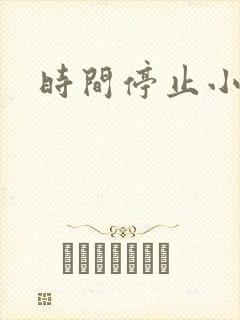 时间停止小说