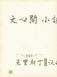 文心阁 小说
