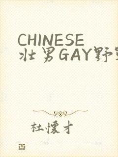 CHINESE壮男GAY野战强迫TUBE