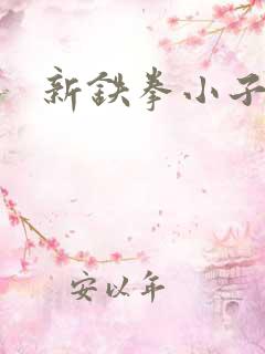 新铁拳小子