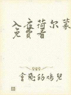 入夜荷尔蒙电影免费看