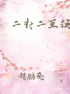 二对二互换共享