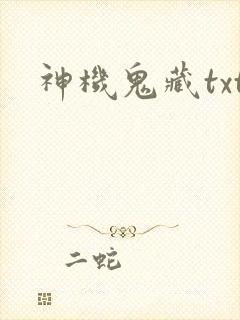 神机鬼藏txt