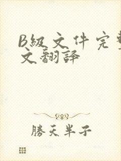 B级文件完整中文翻译
