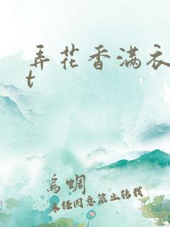 弄花香满衣txt