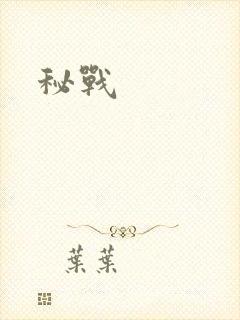 秘战