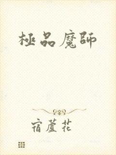 极品魔师