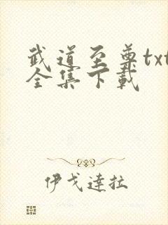 武道至尊txt全集下载