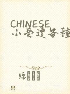 CHINESE小受遭各种打桩