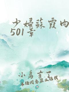 少妇苏霞肉欲第501章