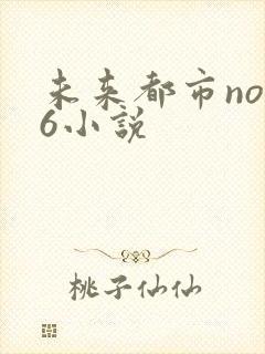 未来都市no.6小说