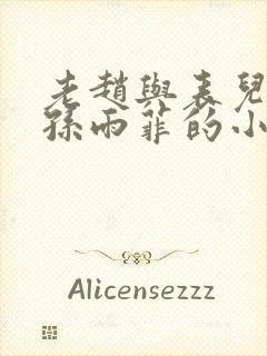 老赵与表儿媳妇孙雨菲的小说孙雨