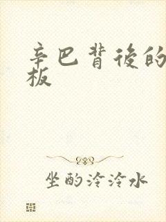 辛巴背后的人老板