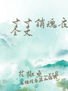 寸寸销魂夜春光全文