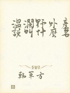 温澜野外产子小说叫什么名字