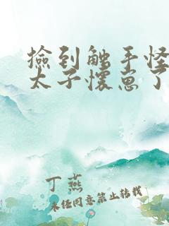 捡到触手怪后娇太子怀崽了