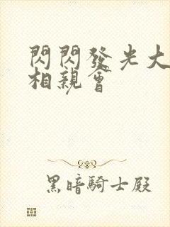 闪闪发光大团圆相亲会