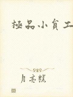 极品小员工