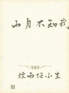山月不知我心事