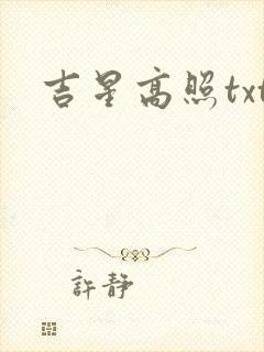 吉星高照txt
