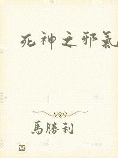 死神之邪气一护