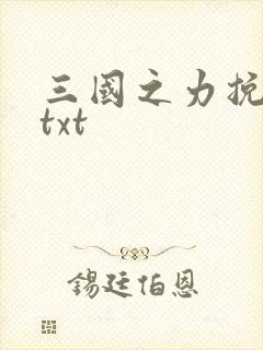 三国之力挽狂澜txt