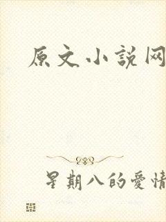 原文小说网
