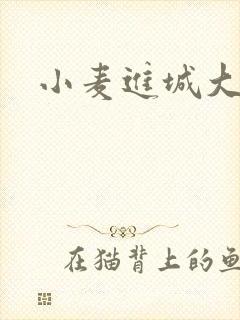 小麦进城大结局