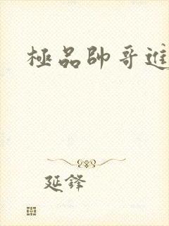 极品帅哥进化史