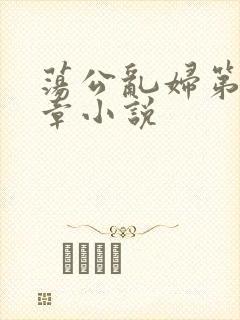 荡公乱妇第51章小说