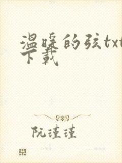 温暖的弦txt下载