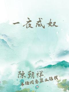 一夜成奴