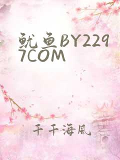 鱿鱼BY2297COM