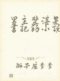 男主裴湛是省委书记的小说