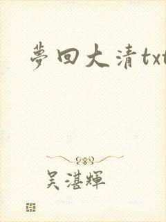 梦回大清txt