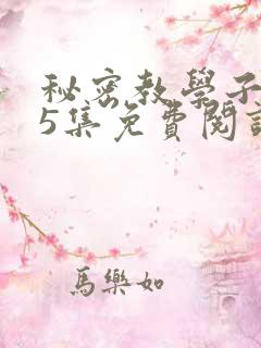 秘密教学子豪65集免费阅读