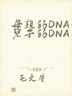 母亲的DNA和儿子的DNA是一样的吗