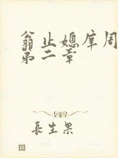 翁止媳庠周梦莹第二章