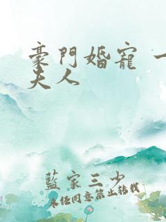 豪门婚宠 一品夫人