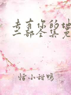 去有你的地方第二部全集免费观看