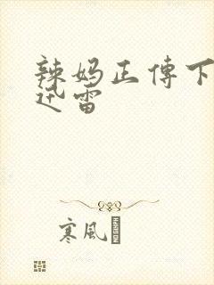 辣妈正传下载 迅雷